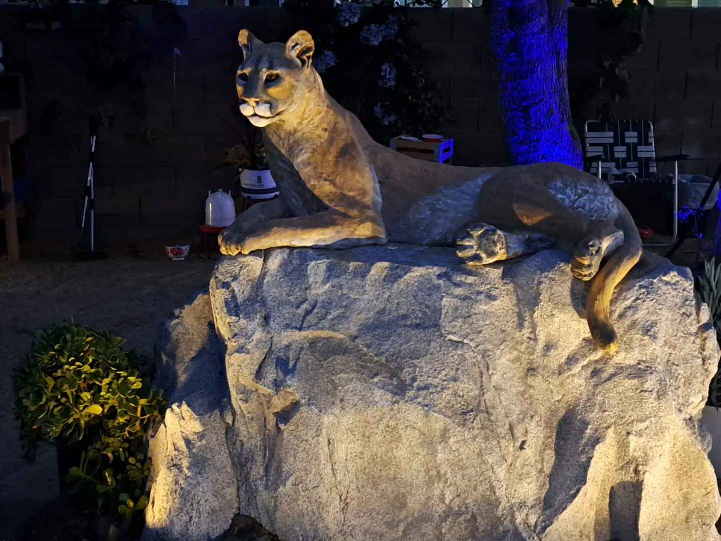 Cougar statue illuminated on large rock at night.