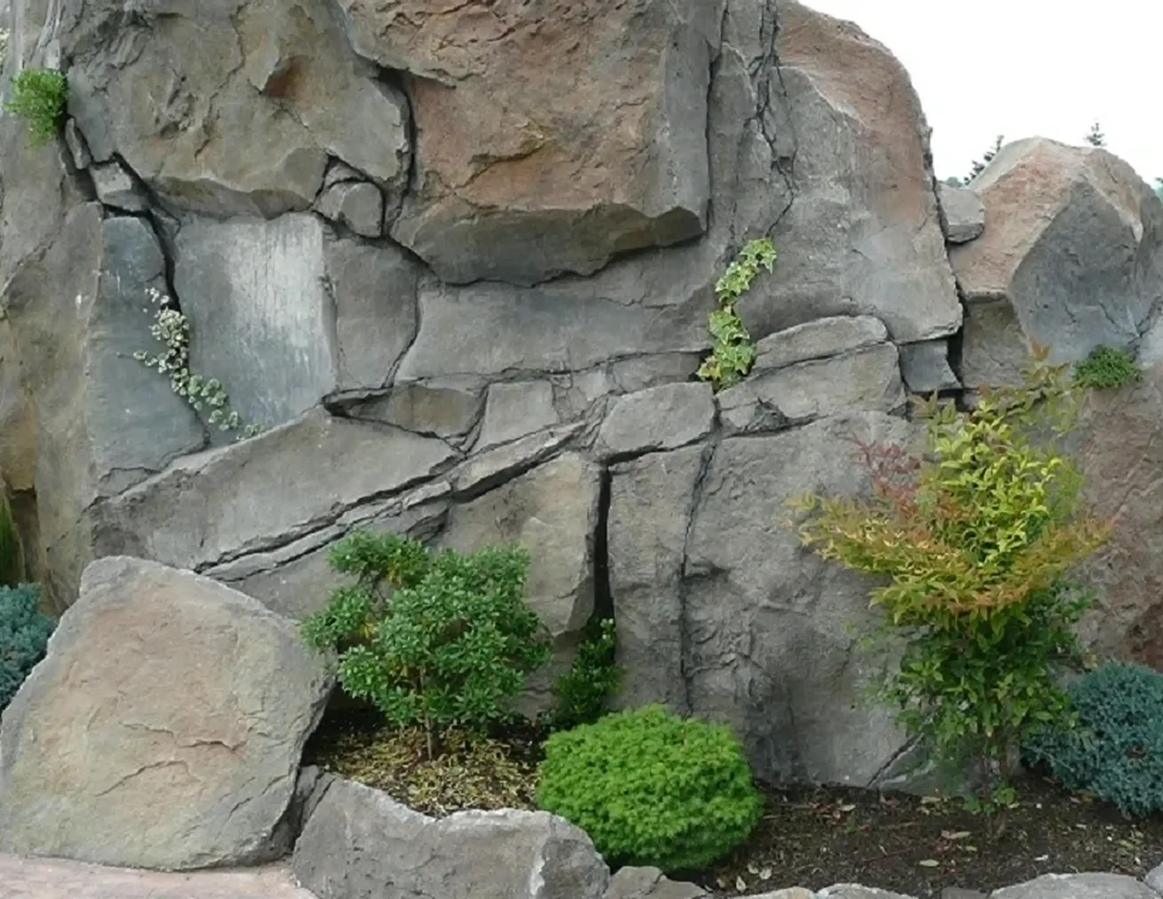 Rocky landscape with scattered green plants.